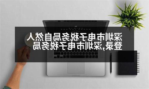 深圳市电子税务局自然人登录,深圳市电子税务局